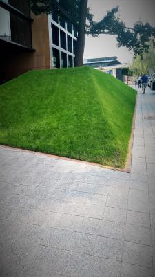 IMG 20180814 092902327