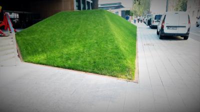 IMG 20180814 092908872